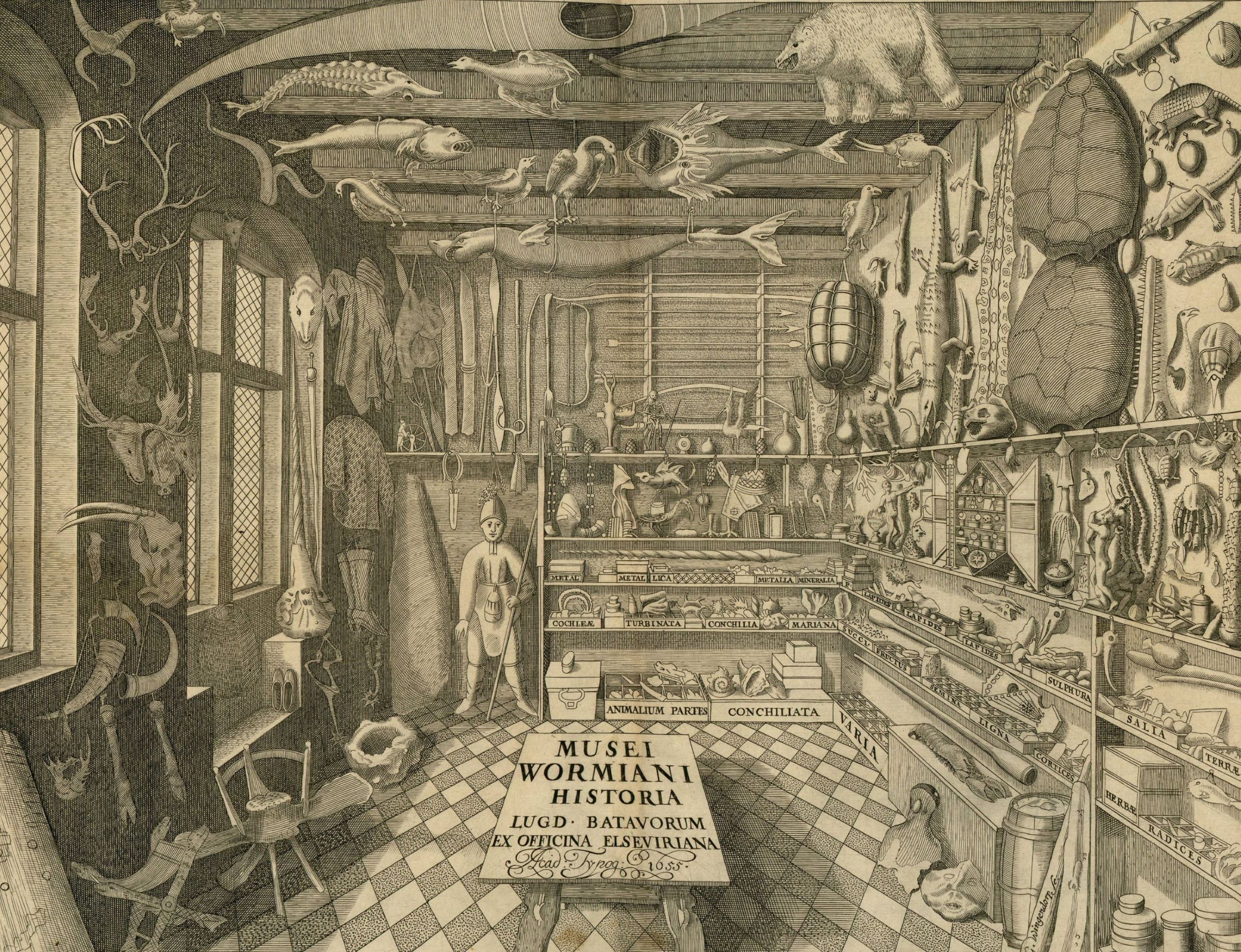 Cabinet de curiosités d'Ole Worm présenté dans l'ouvrage Museum Wormianum seu historia rerum rariorum