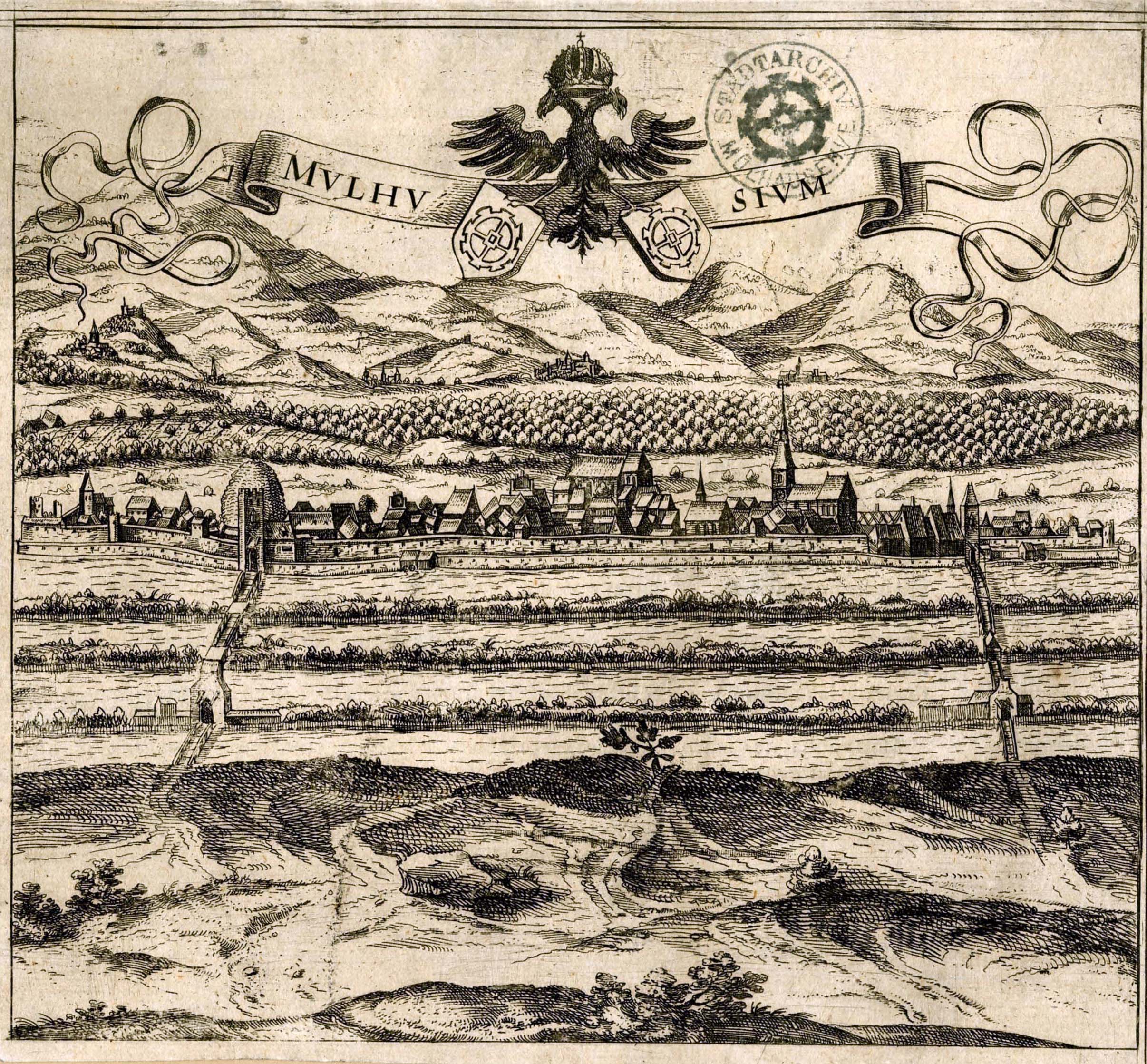 « Mulhusium »