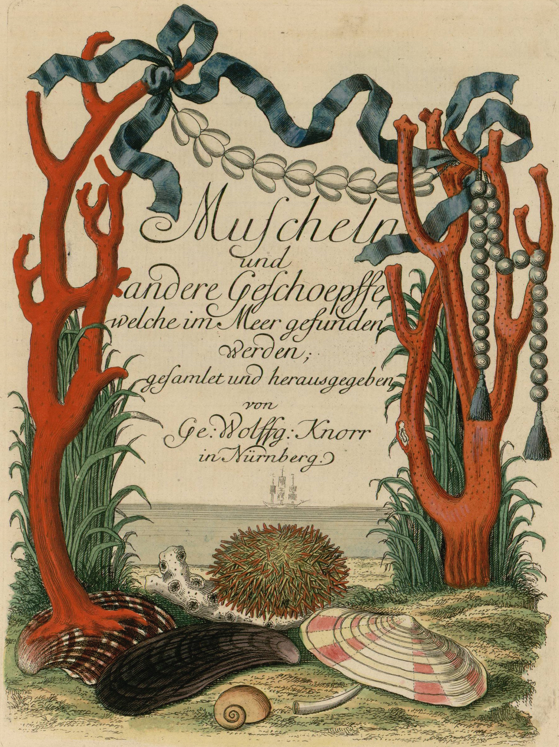 Page de titre gravée et coloriée de l'ouvrage de Knorr