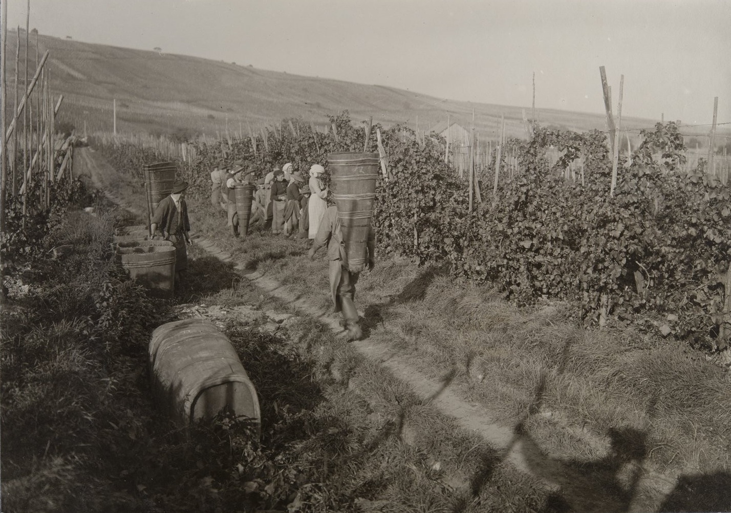 Riquewihr_scène_de_vendanges