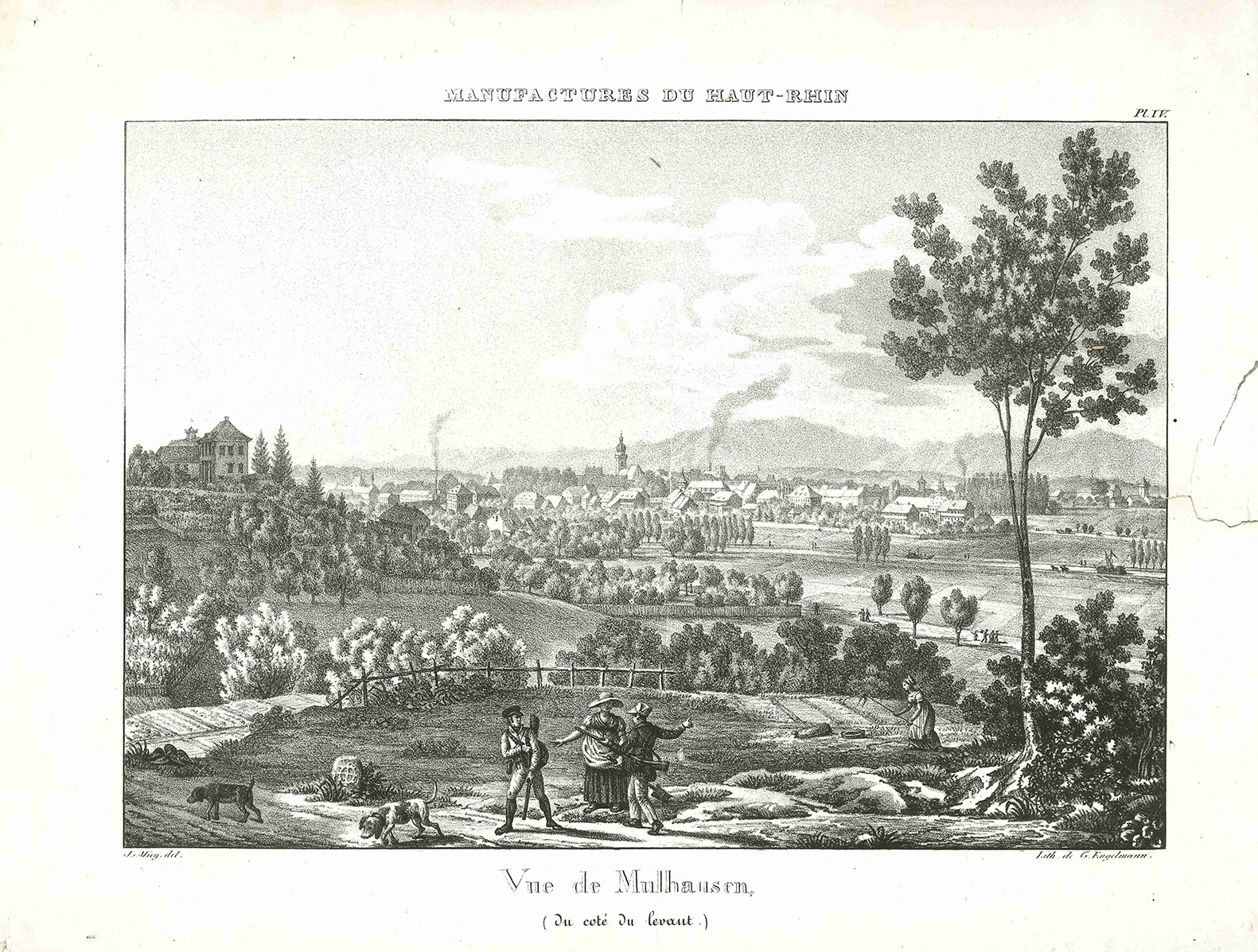 Vue de Mulhausen (du côté du levant)