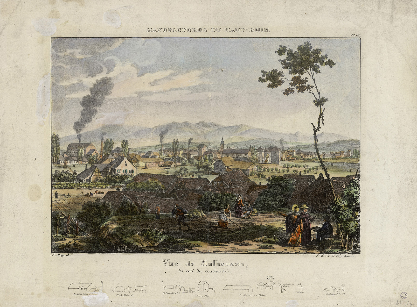 Vue de Mulhausen, du côté du couchant 